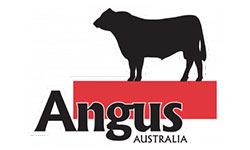 western-australian-angus-association