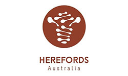 western-australian-hereford-association
